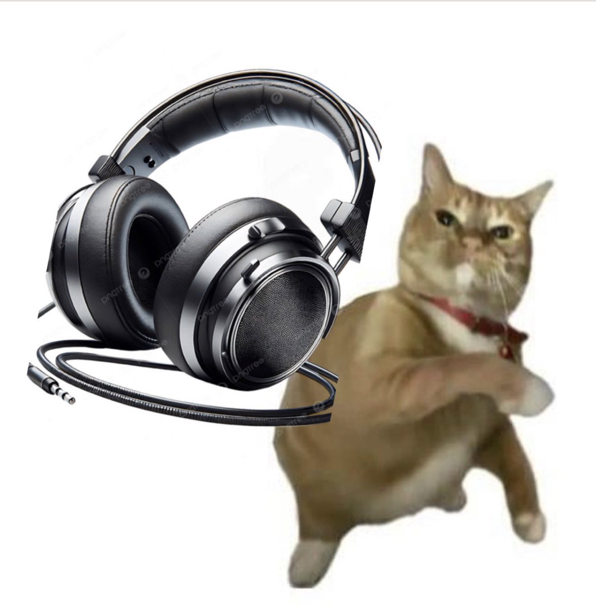 primehgss *insert something quirky* tweet media