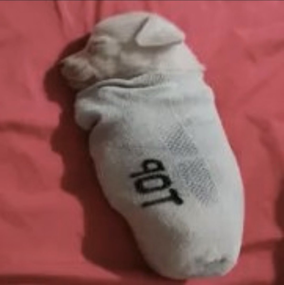 robi da du☃️ tweet media