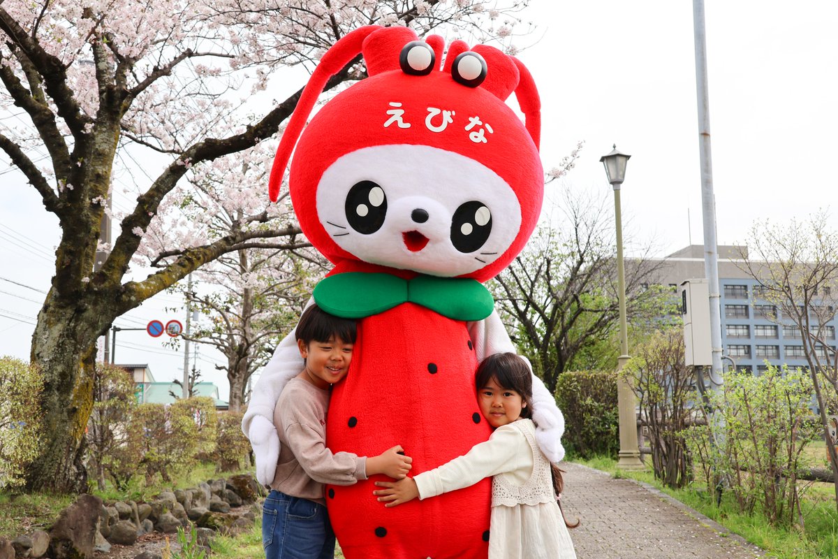 海老名市えび~にゃ🍓【公式】 tweet media