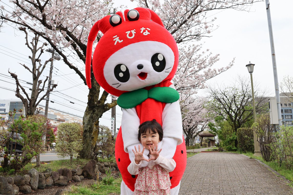 海老名市えび~にゃ🍓【公式】 tweet media