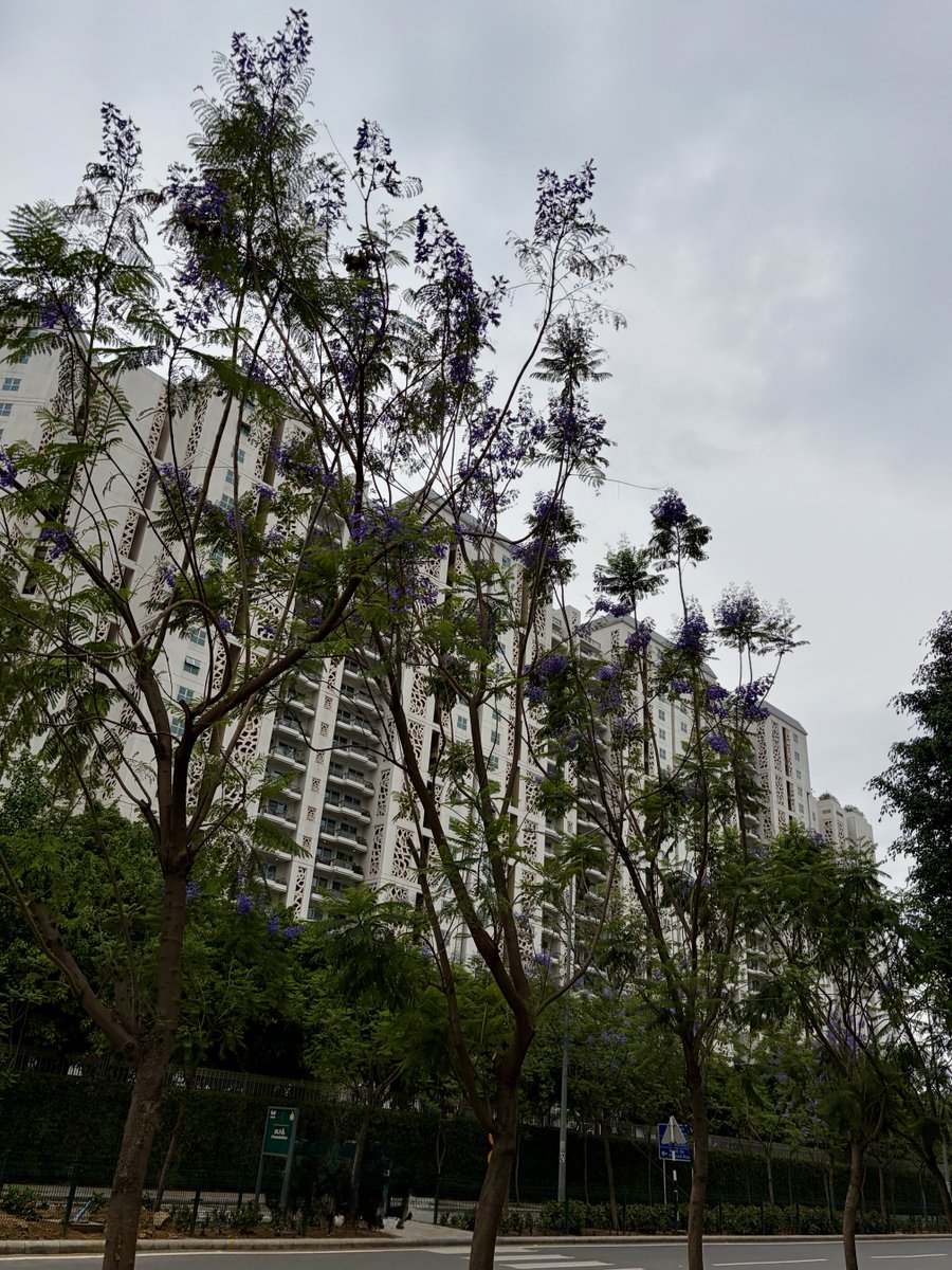 Manav Arya tweet media