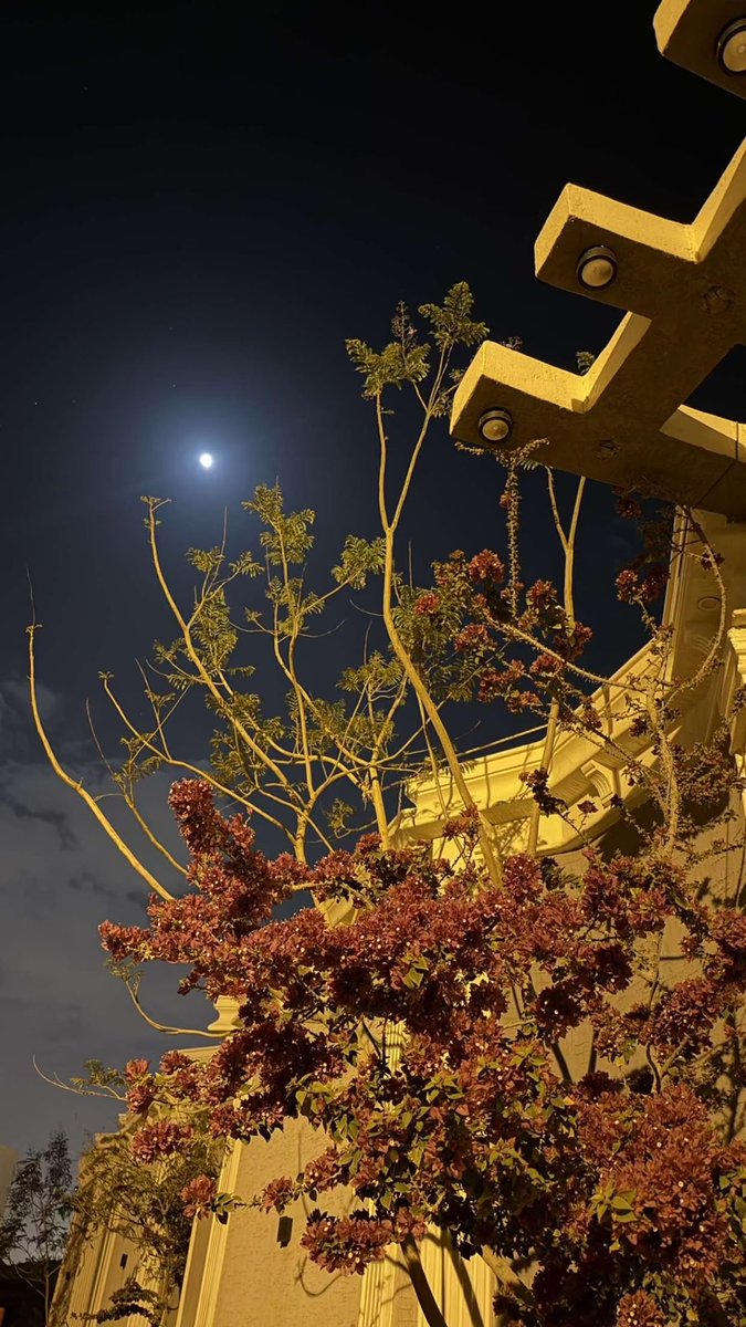 د.مناحي بن تركي الظفيري tweet media