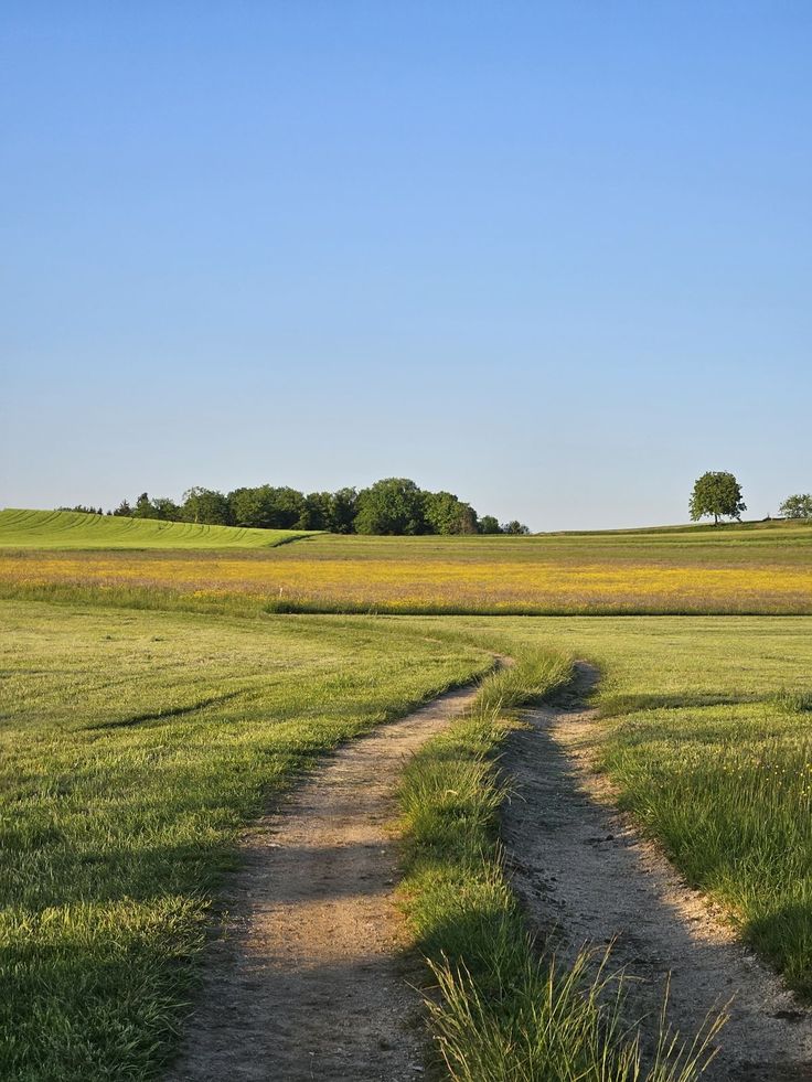 Doğadan görüntüler tweet media