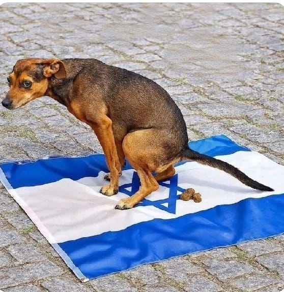 Txema Palomares tweet media