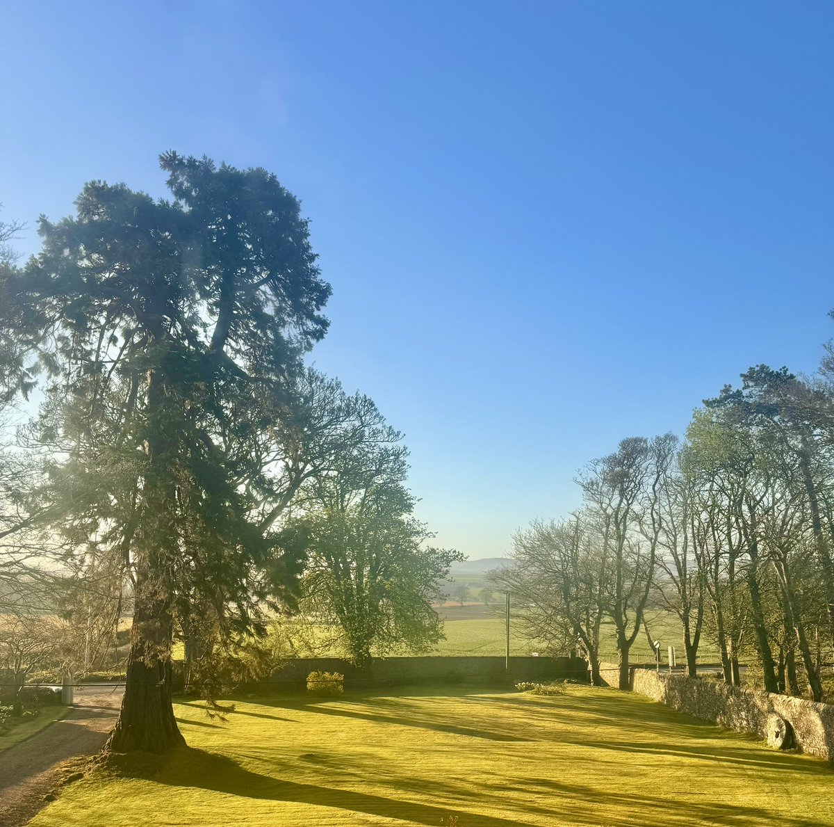 James Melville 🚜 tweet media