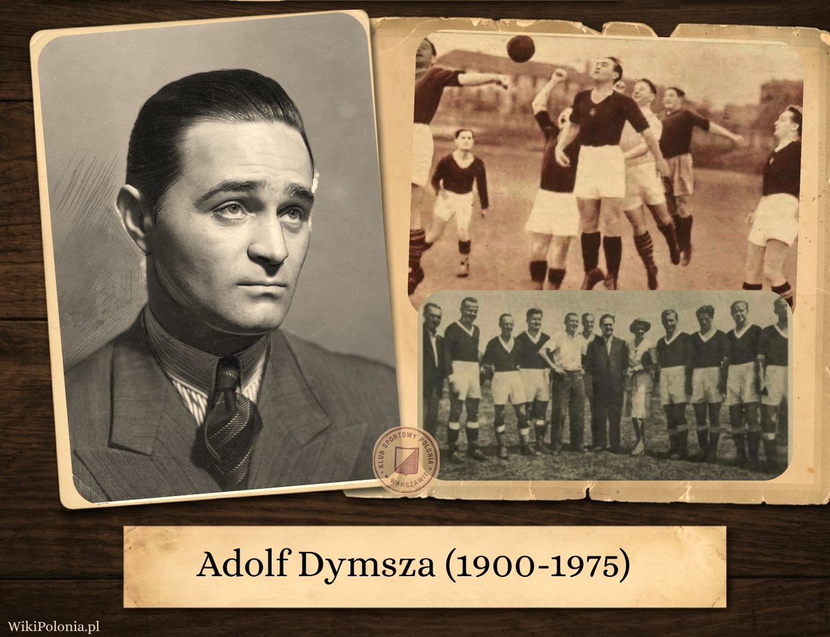 wikiPolonia tweet media