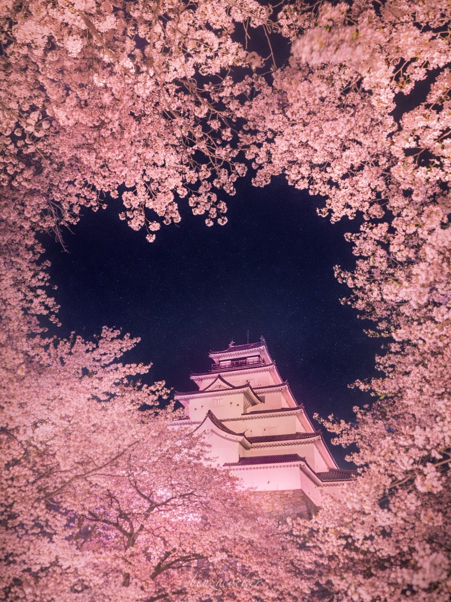 ベンジー tweet media