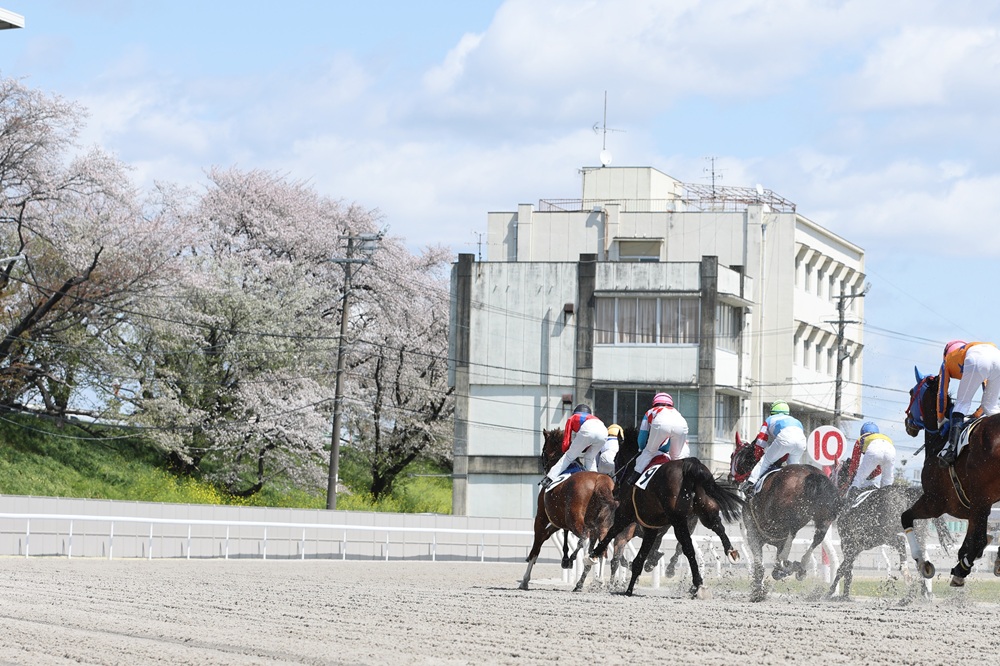 笠松競馬場 tweet media