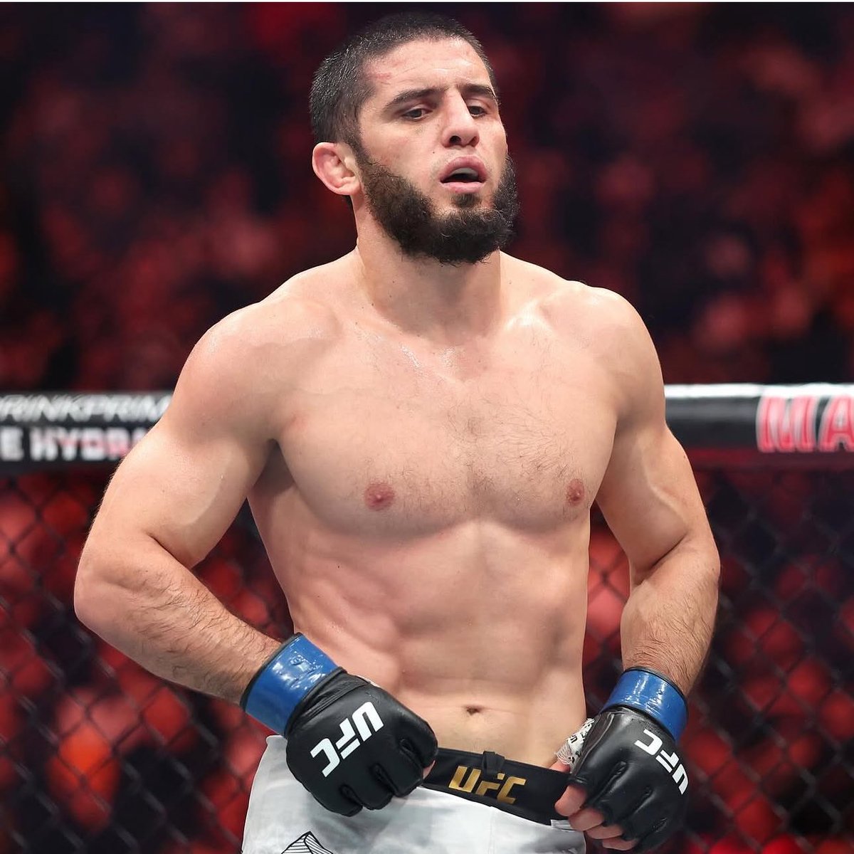 Kırmızı Köşe tweet media