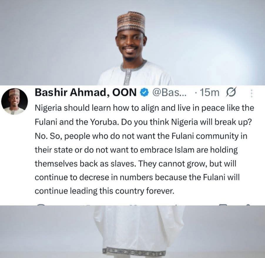 uchechukwu tweet media