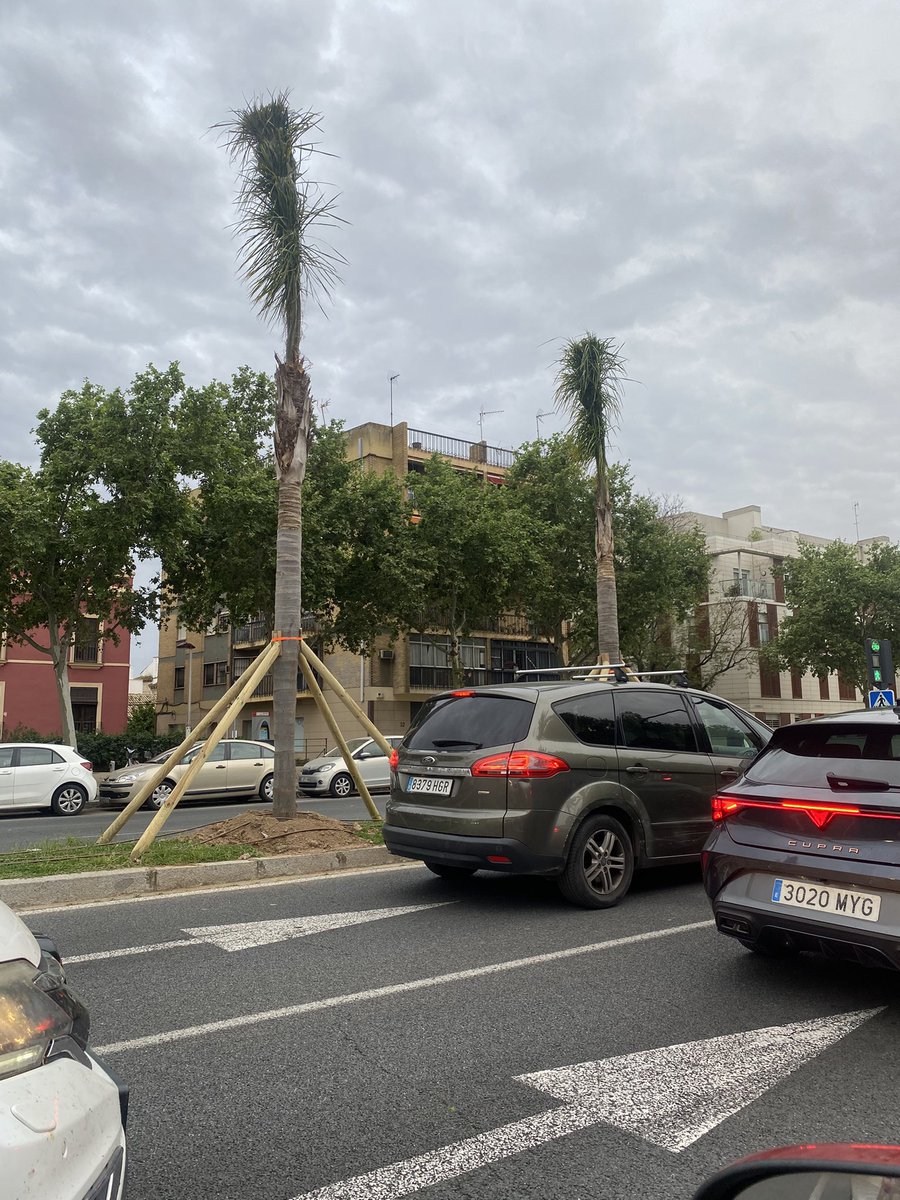 Jesus M. Castillo tweet media