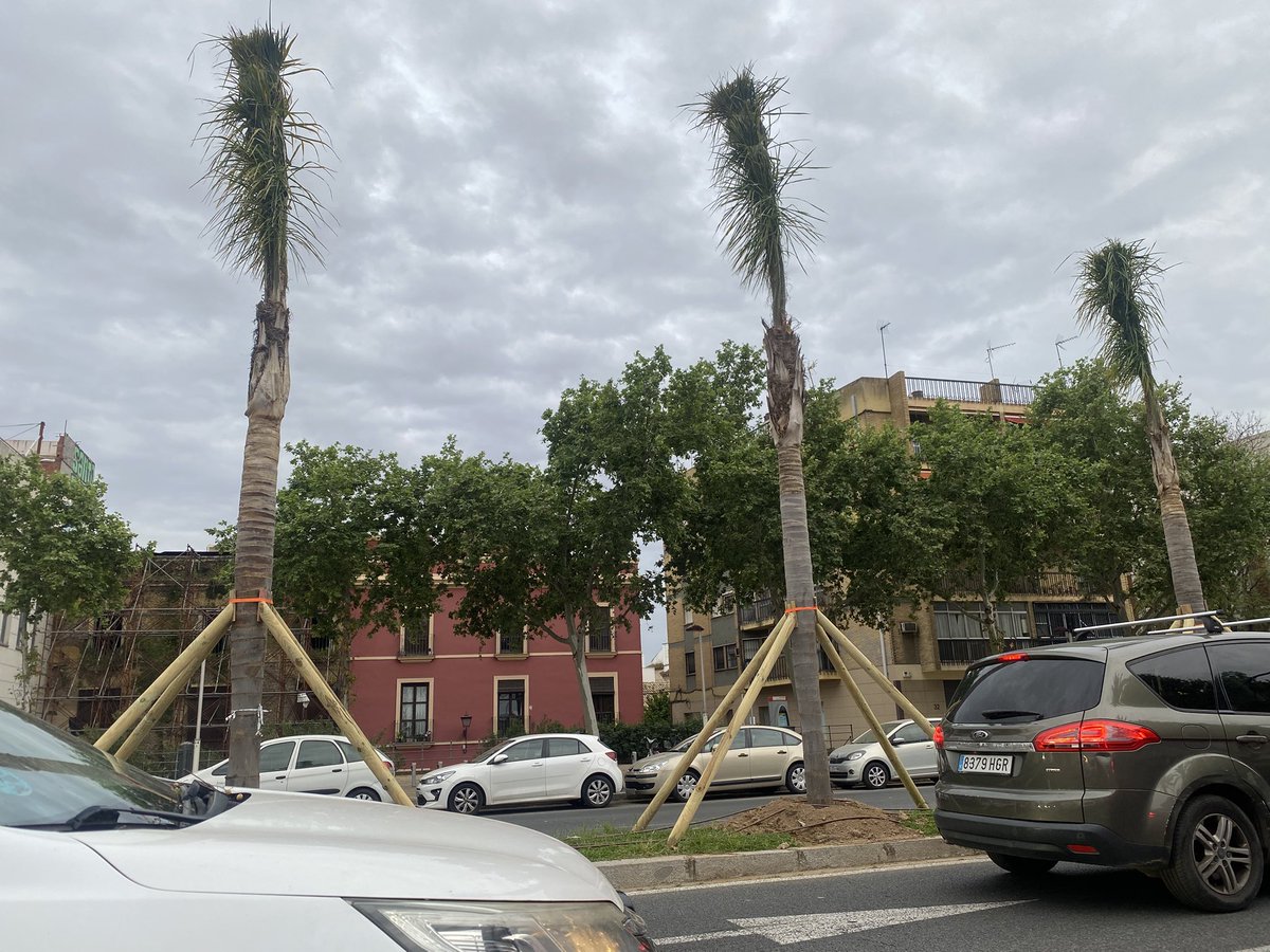 Jesus M. Castillo tweet media