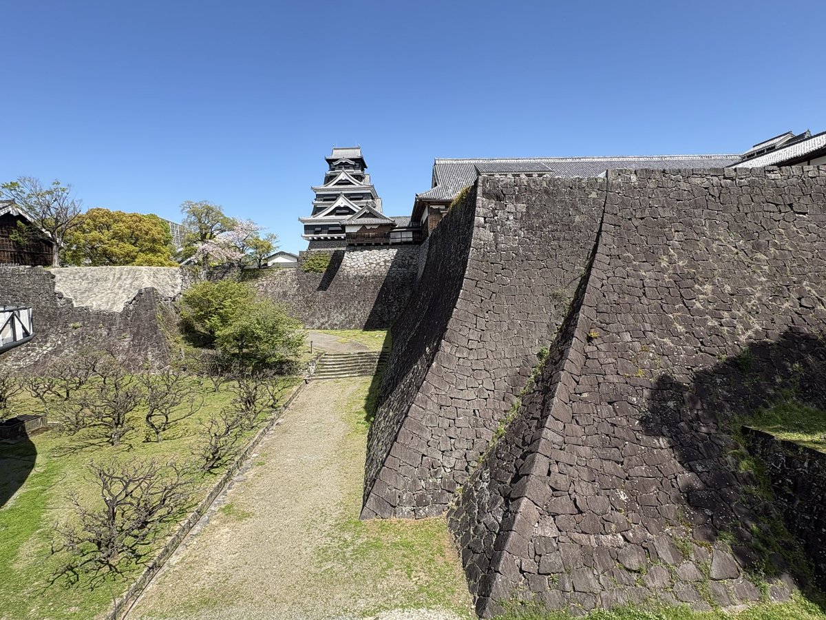 TETSUJI AKIMOTO tweet media