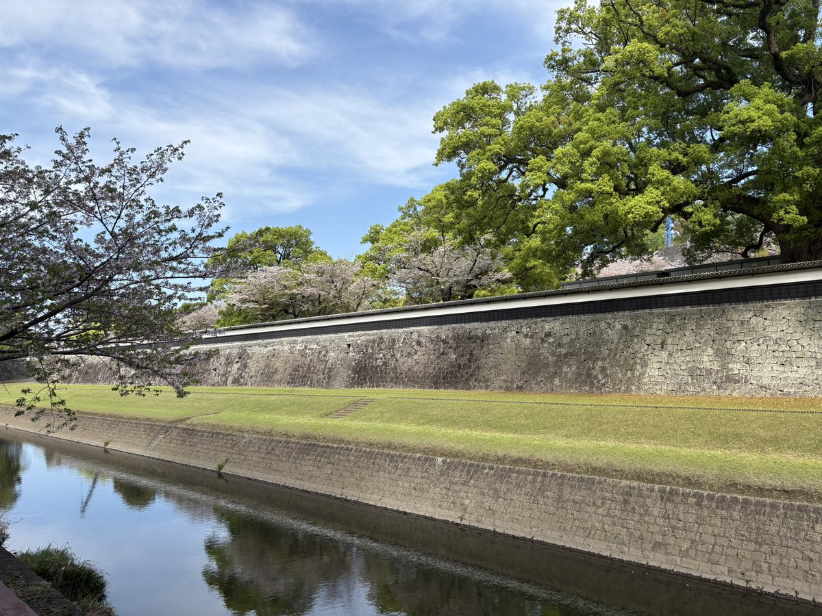 TETSUJI AKIMOTO tweet media