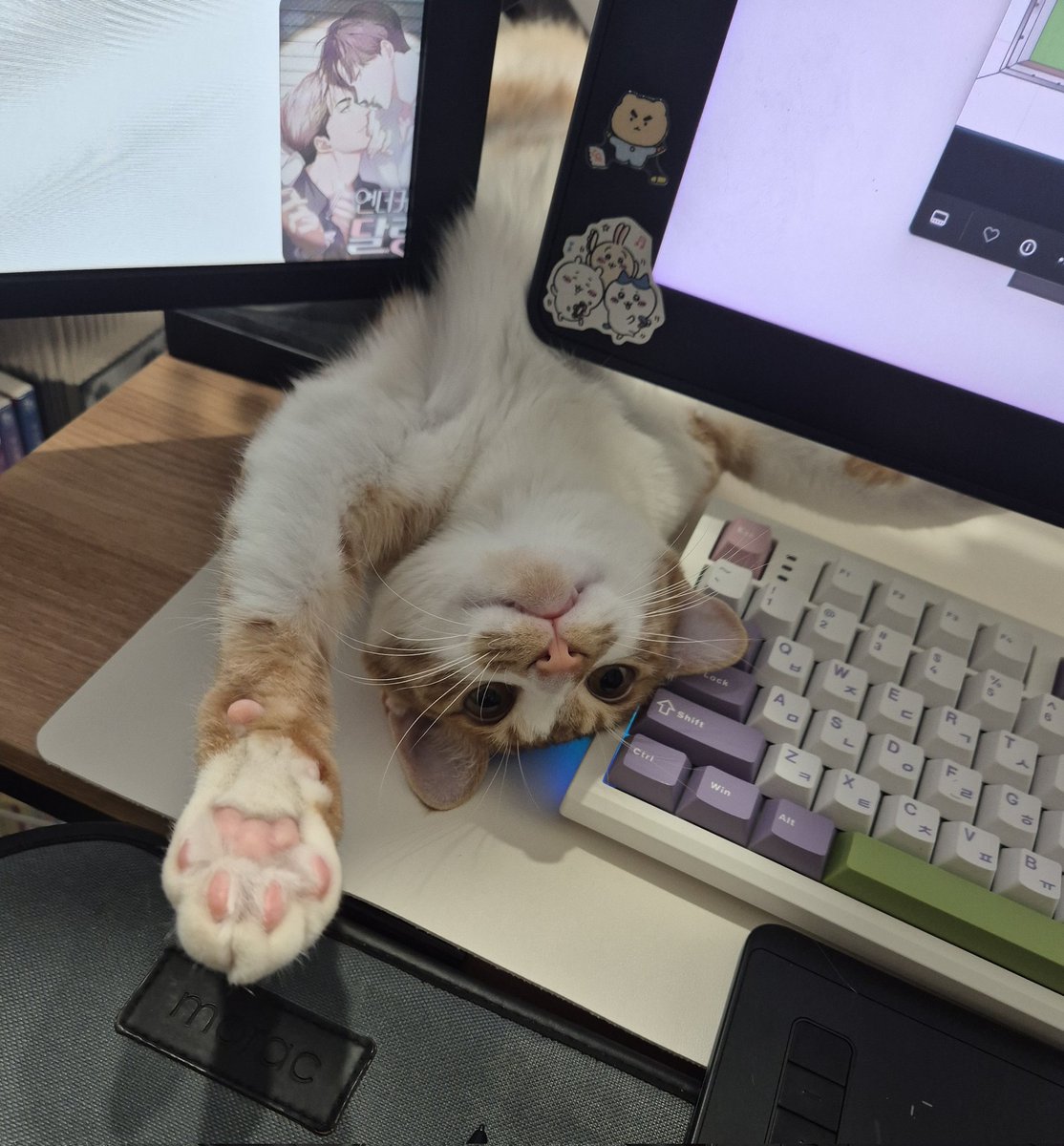 감자고의 스타일기✨️ tweet media