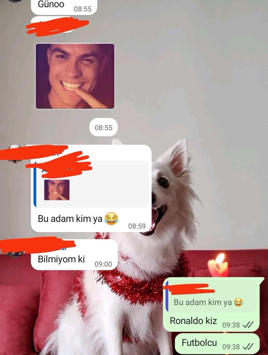 sedakalmaoglu's tweet photo. Gruptaki kızların Max futbol bilgisi 😂😂😂 https://t.co/rSLSVqUyNS