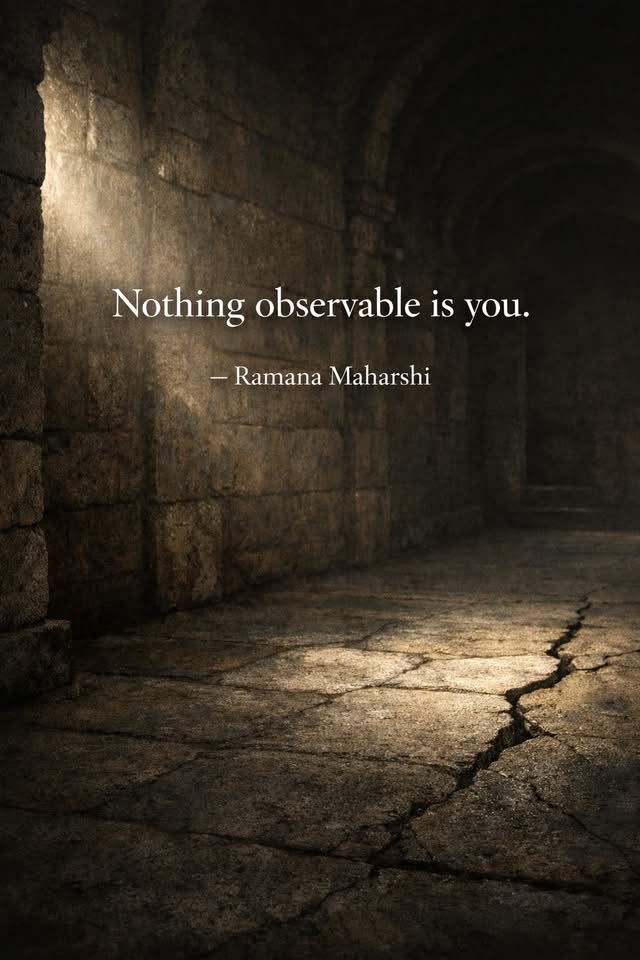 🧬Maxpein🧬 tweet media