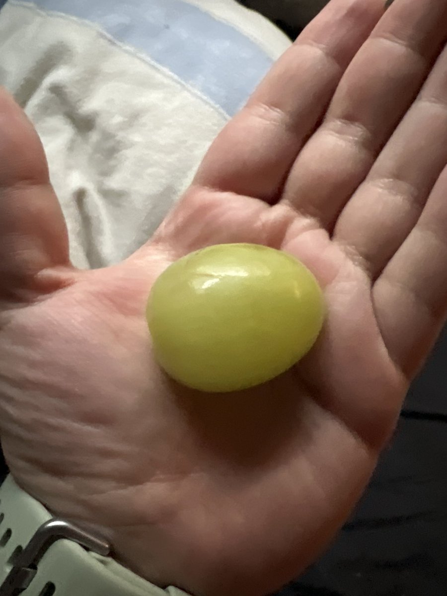 spoopiemilkk📿🪦|| 𝔘𝔫𝔥𝔬𝔩𝔶 𝔑𝔲𝔫 || V-Chunky tweet media