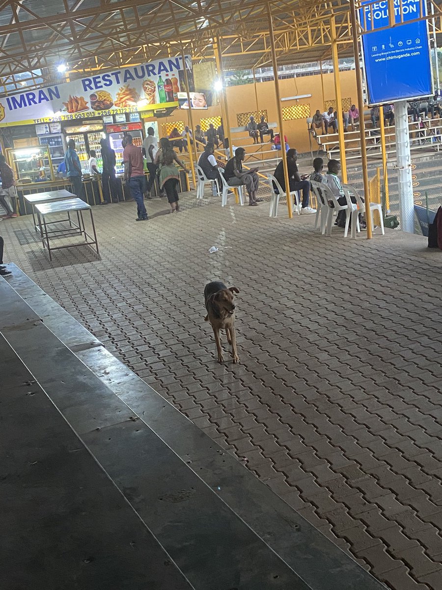 Sandrah Nuwahereza ❤️🫶 tweet media