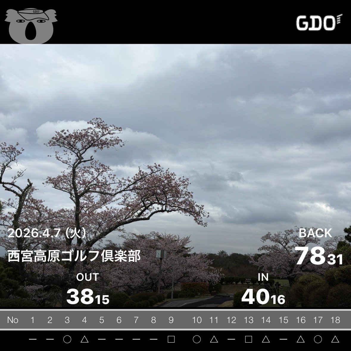 Tさん⛳️ tweet media