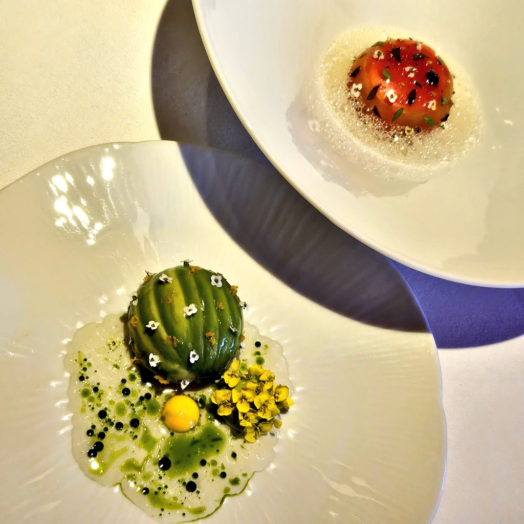 🎹🩰⁴/²⁸🌙👉박쨜쨜🙂🍀 tweet media