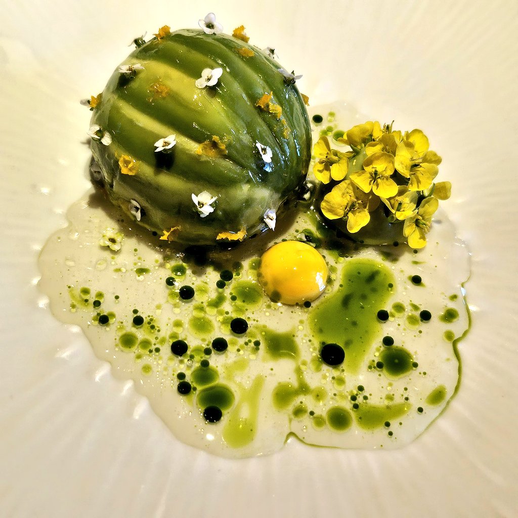 🎹🩰⁴/²⁸🌙👉박쨜쨜🙂🍀 tweet media