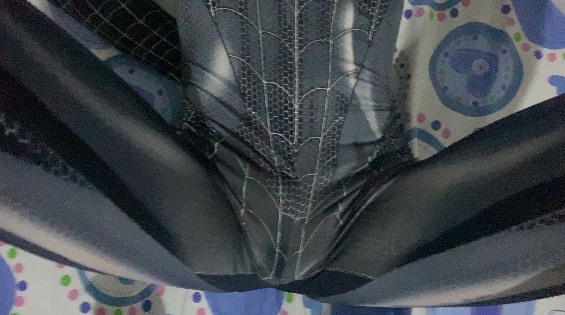 OnlyAndres🐰 tweet media