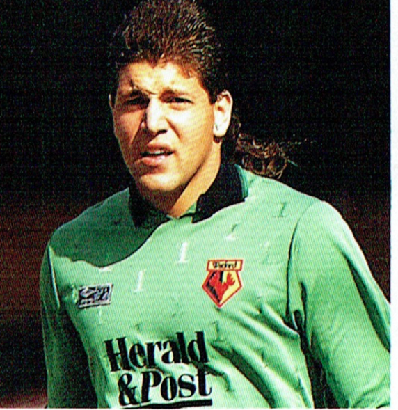 SkylineOwl🦉 tweet media