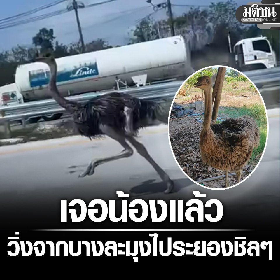 คือผมต้องทราบไหม 🐈⬛ tweet media