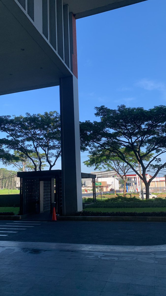 noeklier tweet media