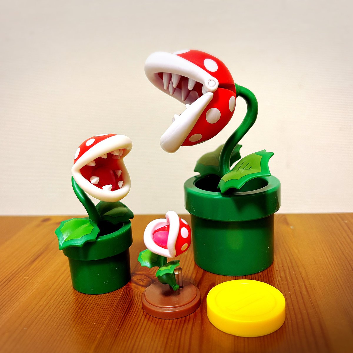 SF(すふ) tweet media