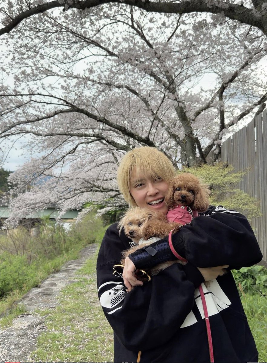 祐luv祐🍯💕 tweet media