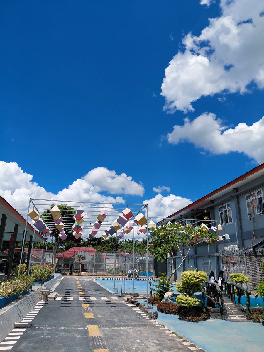 ikan cupang tweet media