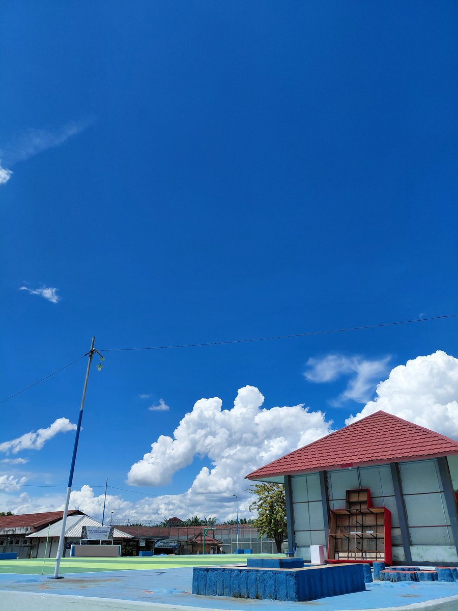 ikan cupang tweet media