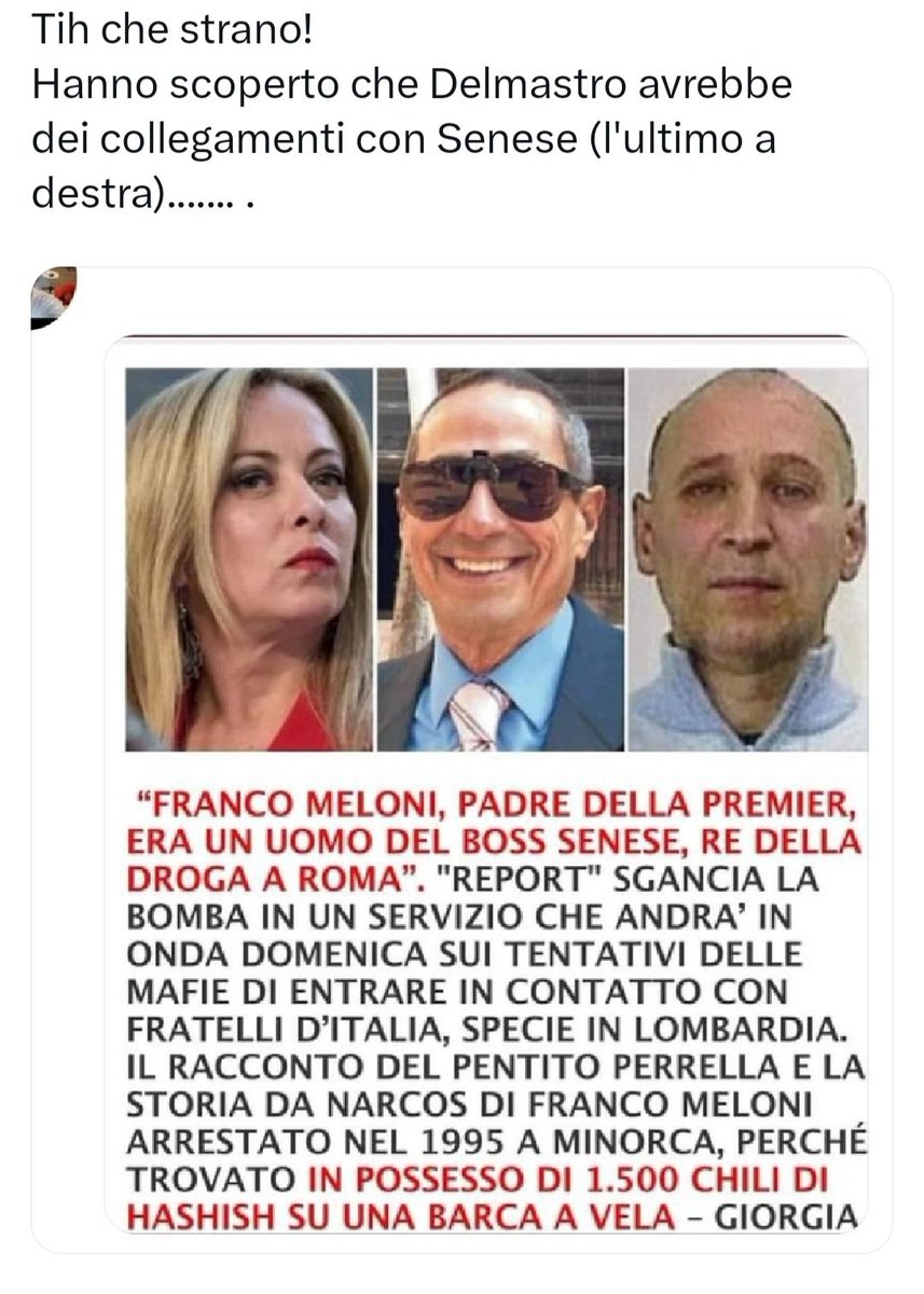 ilMaurizio tweet media