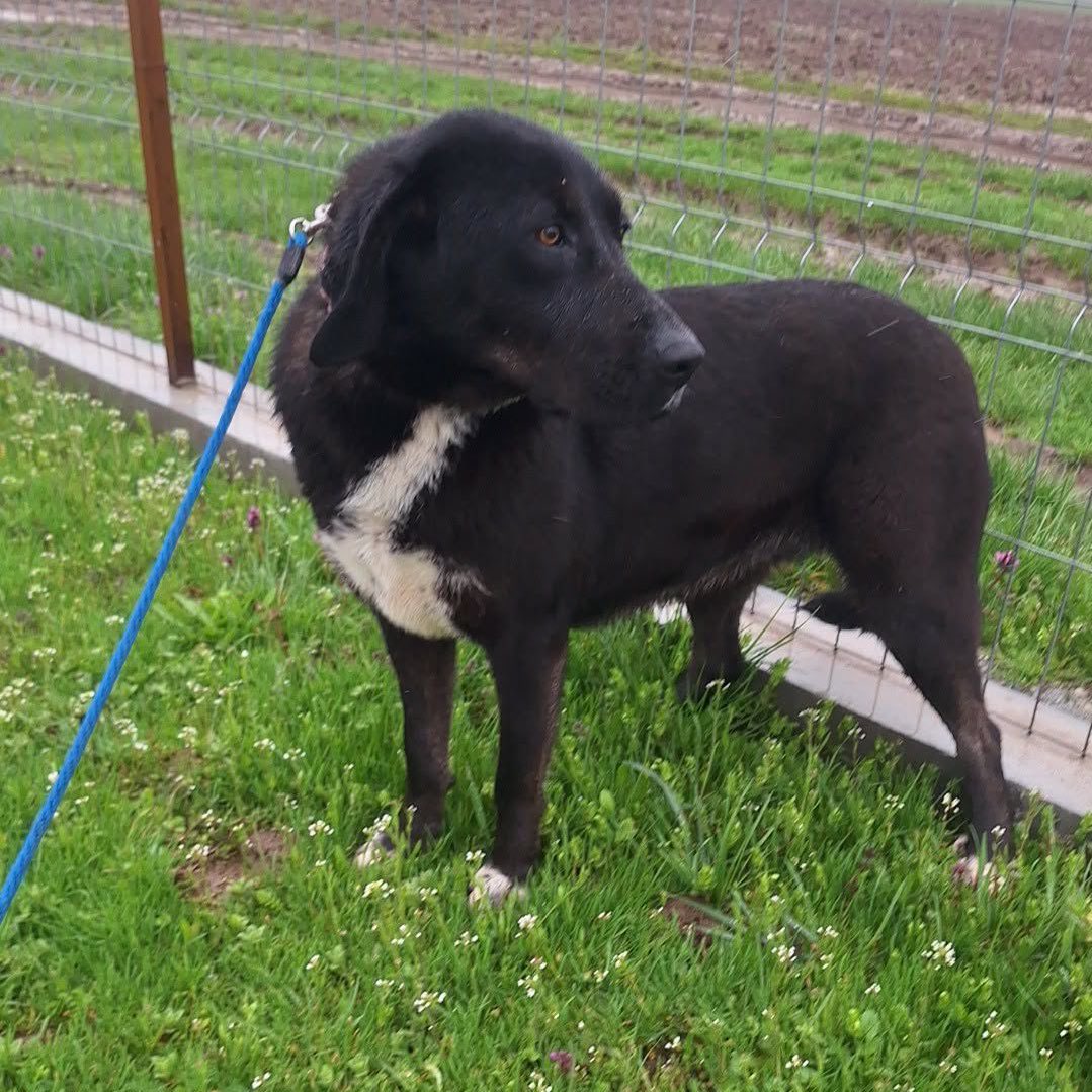 Gill Meek tweet media