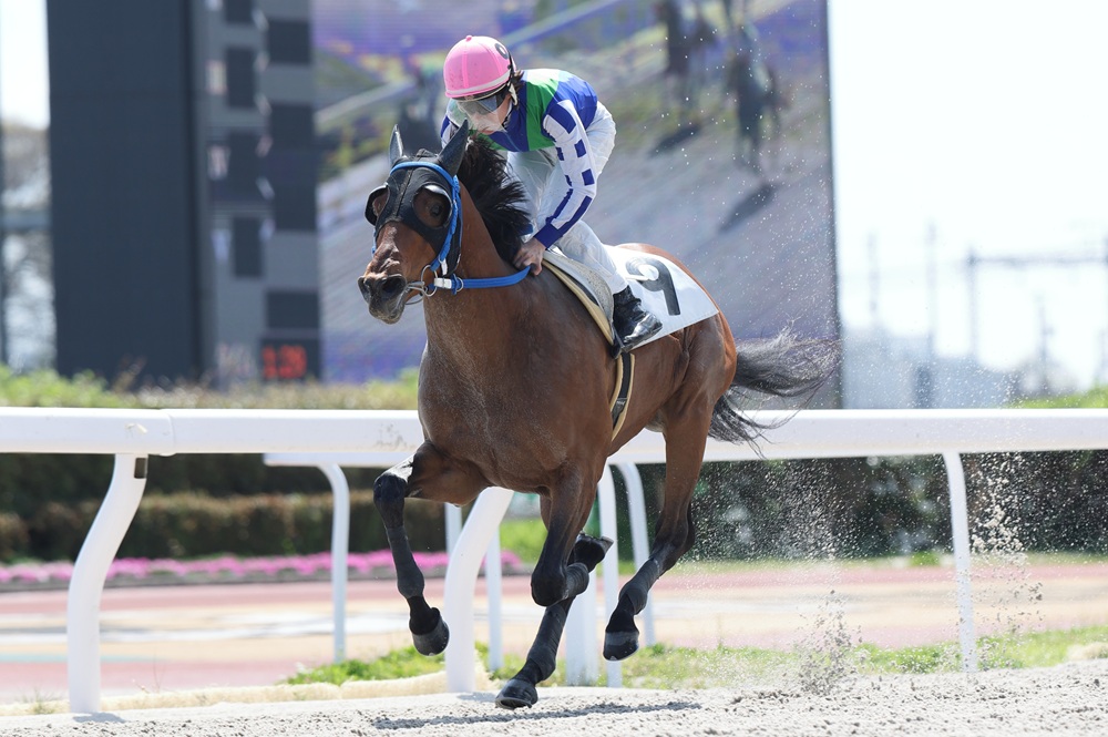 笠松競馬場 tweet media