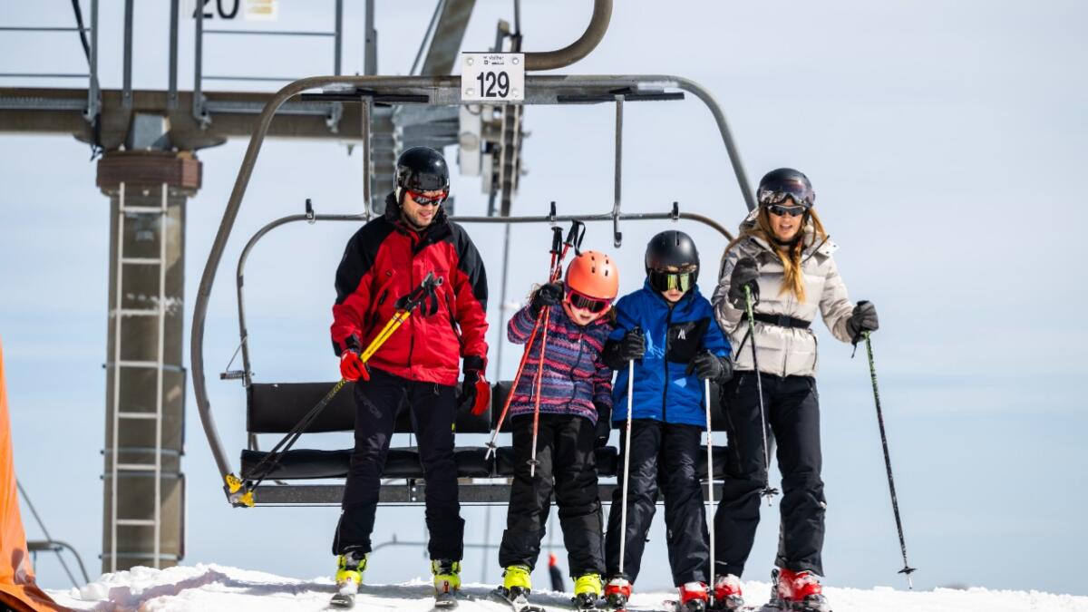 ❄Solo Ski⛷ tweet media