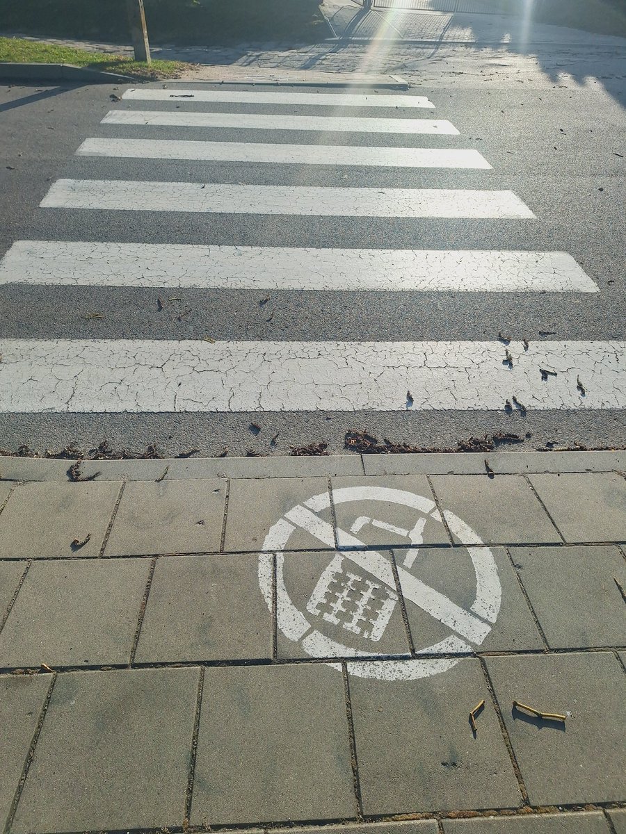 laurentdevries's tweet photo. Dit zag ik in Polen. Iets voor Nederland? #zebrapad https://t.co/y1KgizeKWO