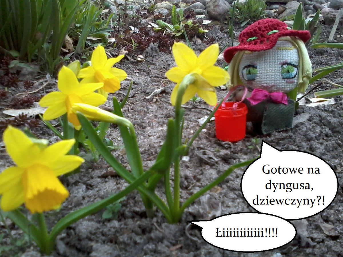 Piejokury tweet media