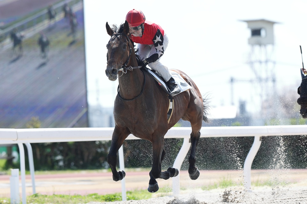 笠松競馬場 tweet media