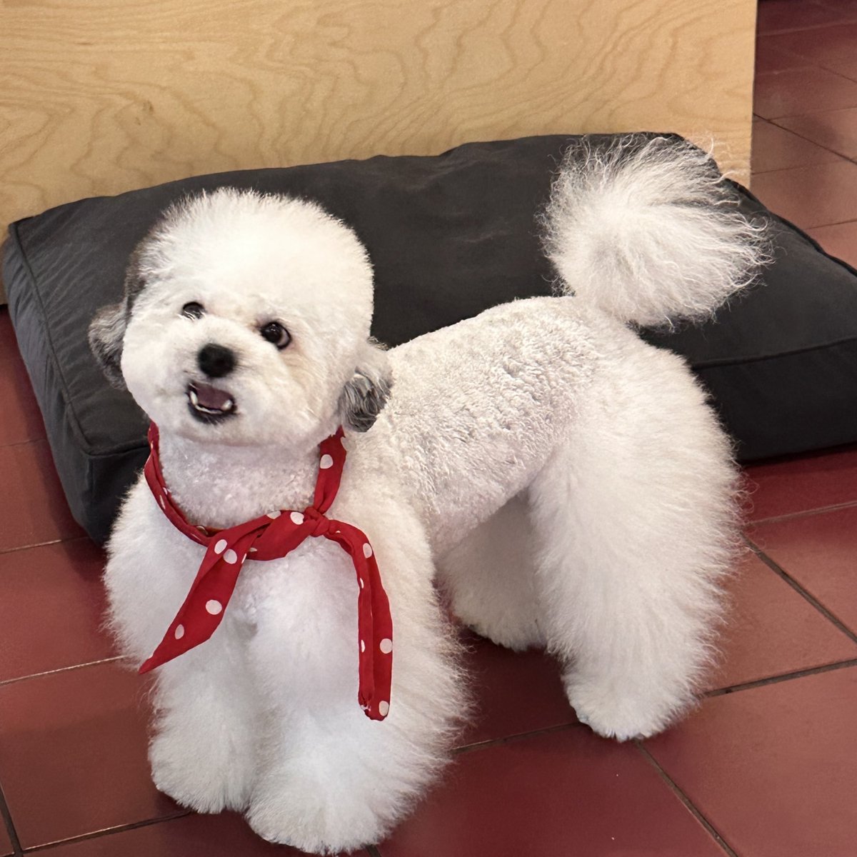 도르래 tweet media