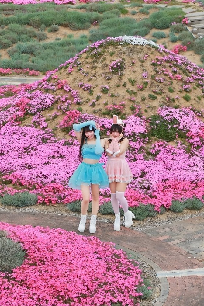 ⌘すっとんだ次郎 tweet media