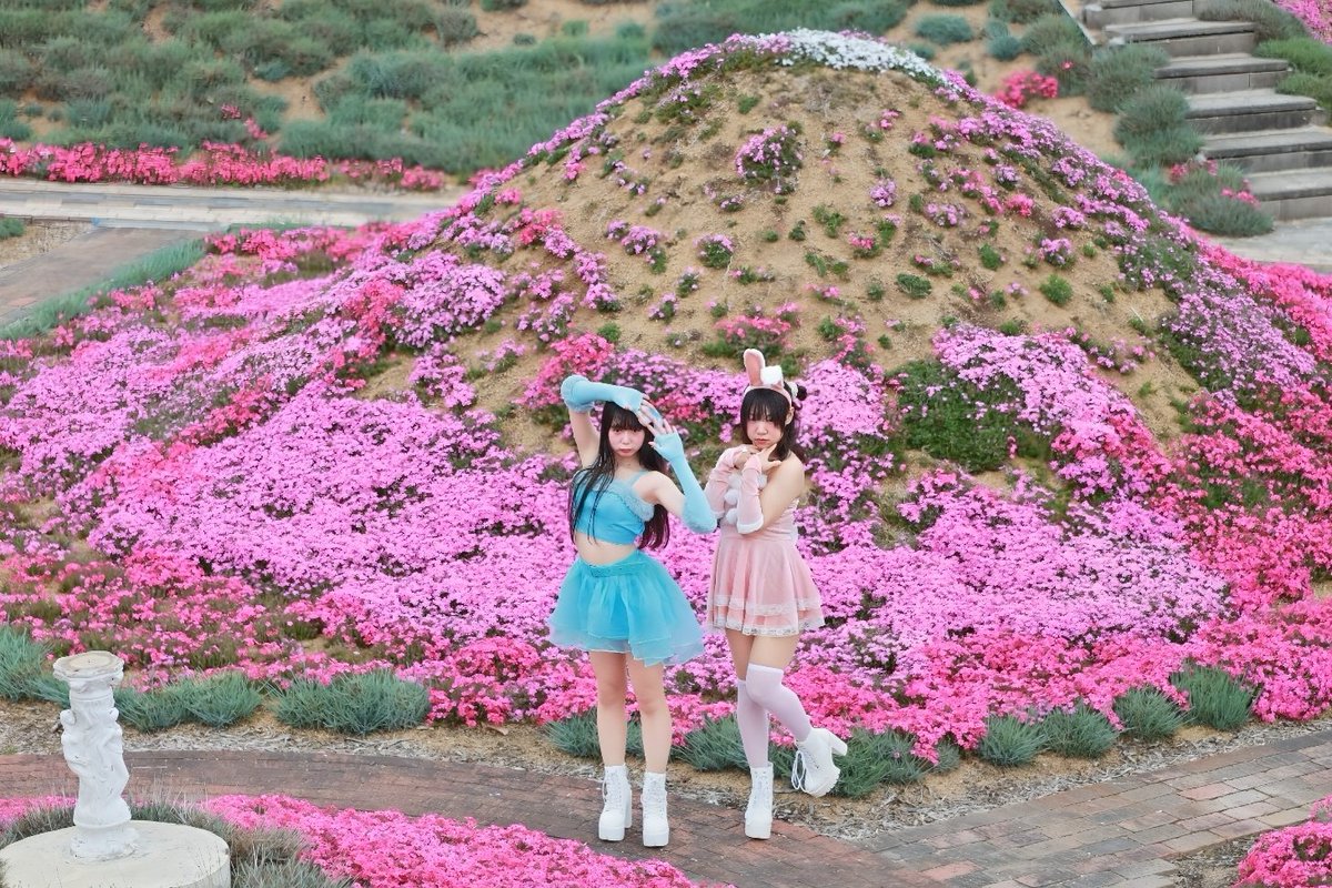 ⌘すっとんだ次郎 tweet media