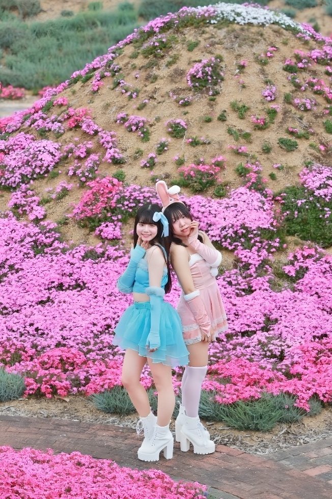 ⌘すっとんだ次郎 tweet media