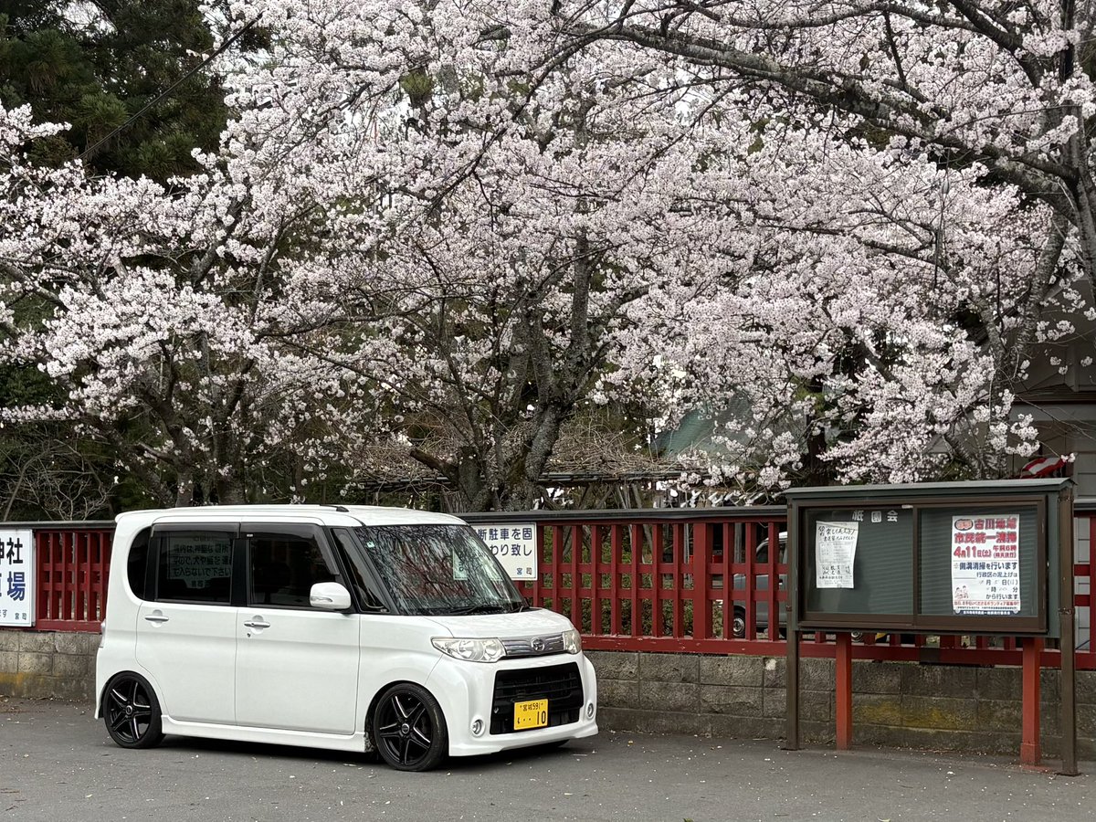 SHIN@過激派 tweet media