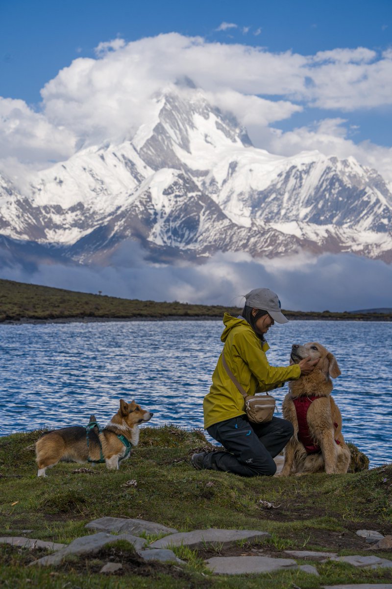 ONE MAN ARMY tweet media