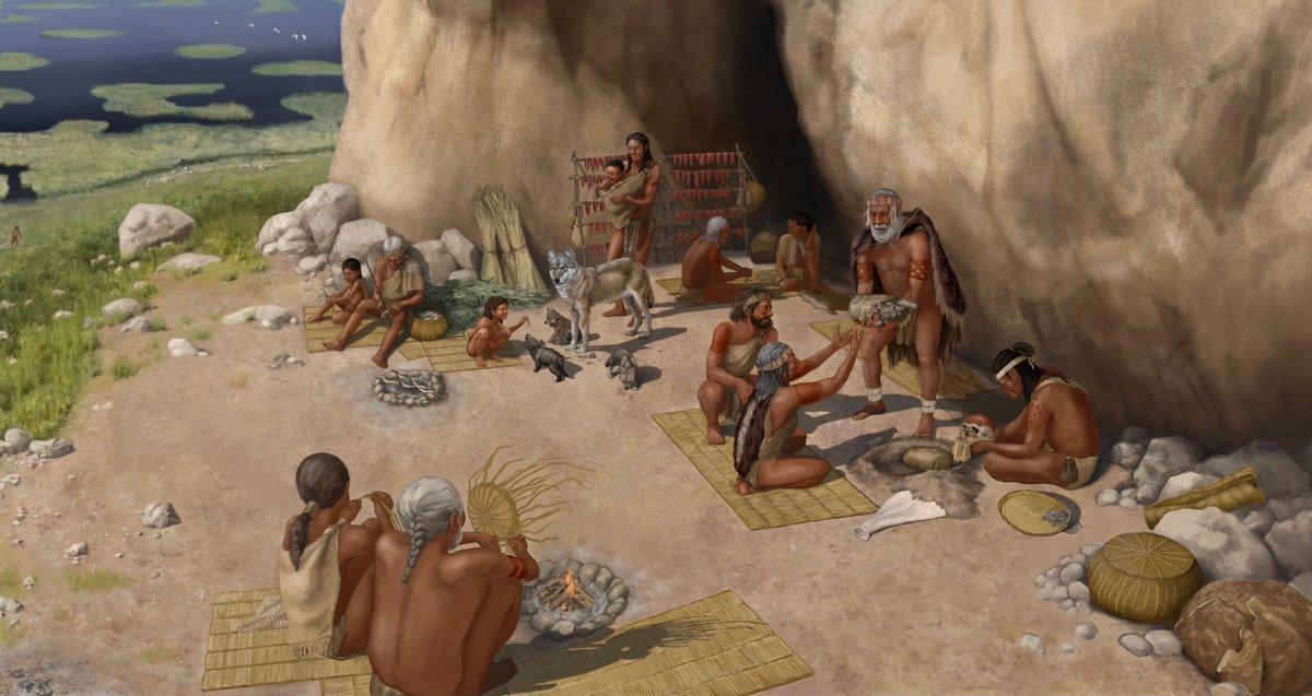 Rewilding Academy tweet media