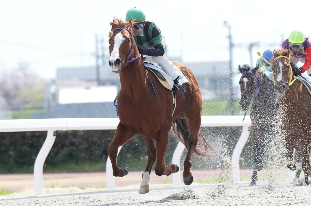笠松競馬場 tweet media