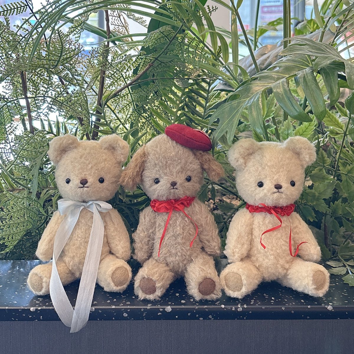 ʲᵃʸ ☘︎ tweet media